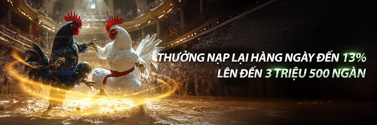 Đá gà trực tuyến sôi động tại mm999 app